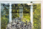 4. September 2024 - Robert-Koch-Institut am Nordufer, Berlin Wedding